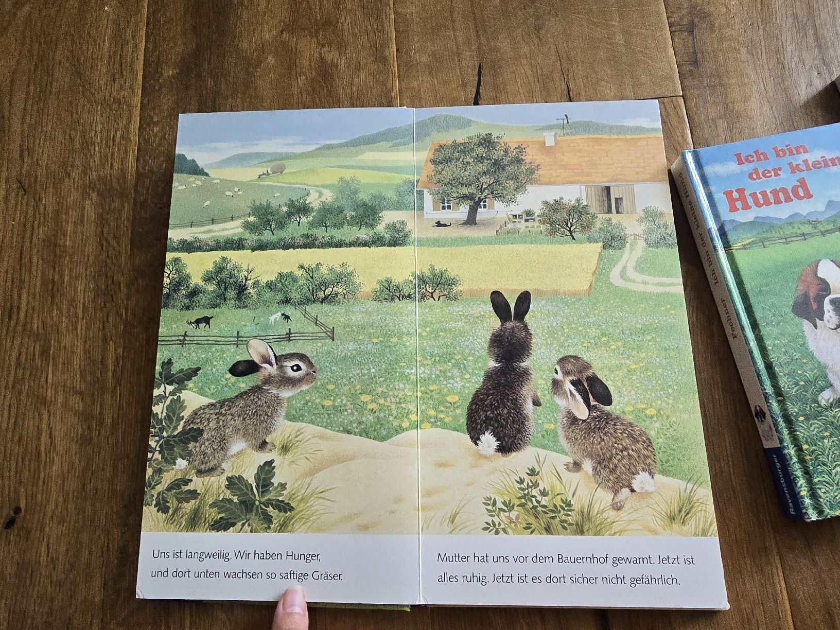 Bücher: 5er Set Kinderbücher "Ich bin..." Ravensburger set – Gebraucht aus Wittenbach von Tigerlili 5