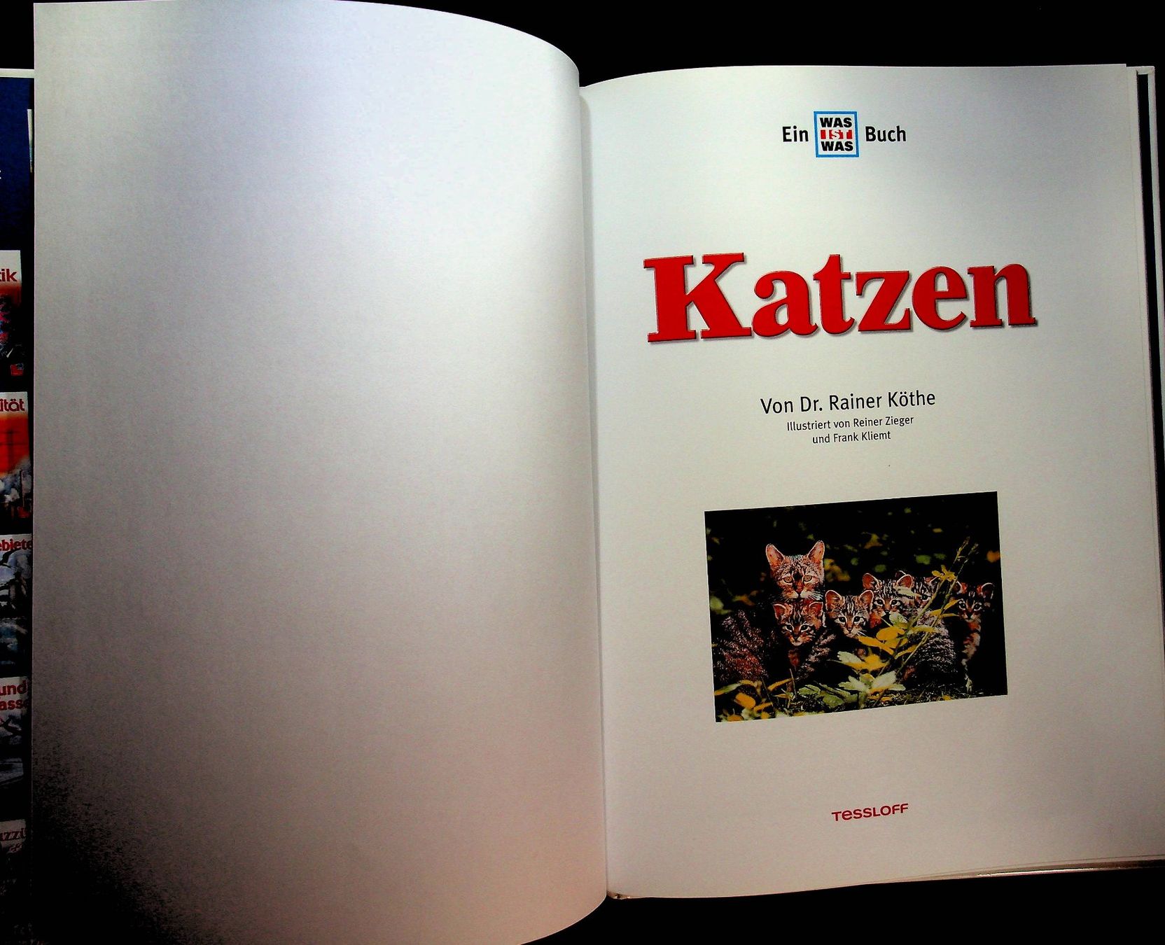 Livres: Was ist was Band 59 Katzen – D'occasion à Reitnau par Zaomir 2