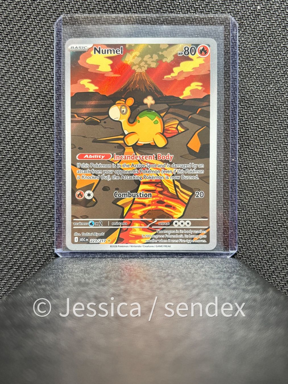 Pokémon Carte collezionabili: Numel (ASC END 223/217) – Nuovo (secondo la descrizione) da Herisau venduto da jes_q9mj