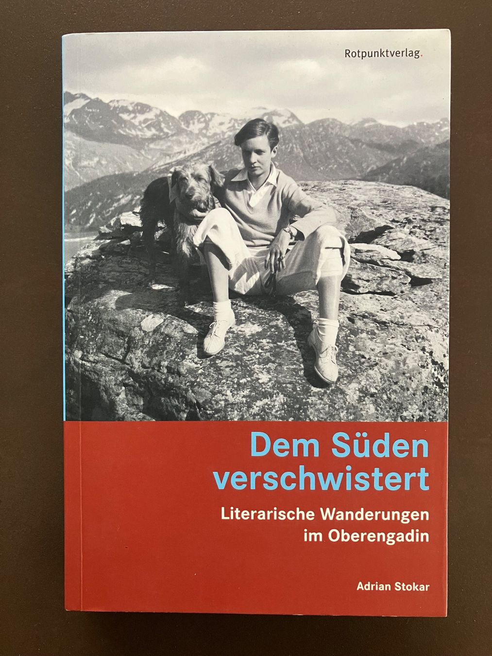 Libri: Bauer_Frischknecht: Wanderführer Engadin + Literatur – Usato da Menziken venduto da timbuktu1001