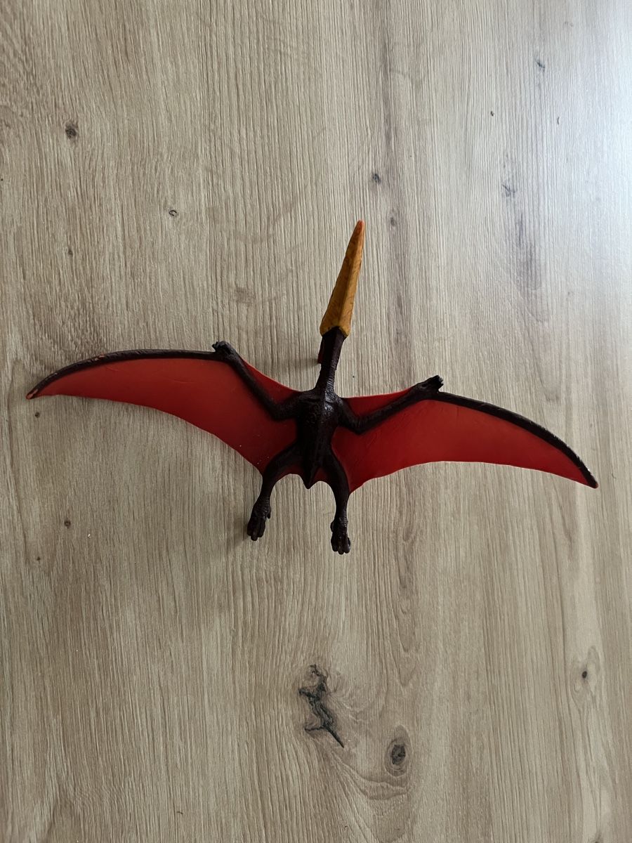 Schleich Statuette: Pteranodon Flugsaurier Dinosaurier, Top Zustand! – Usato da Thun venduto da Siladi 1