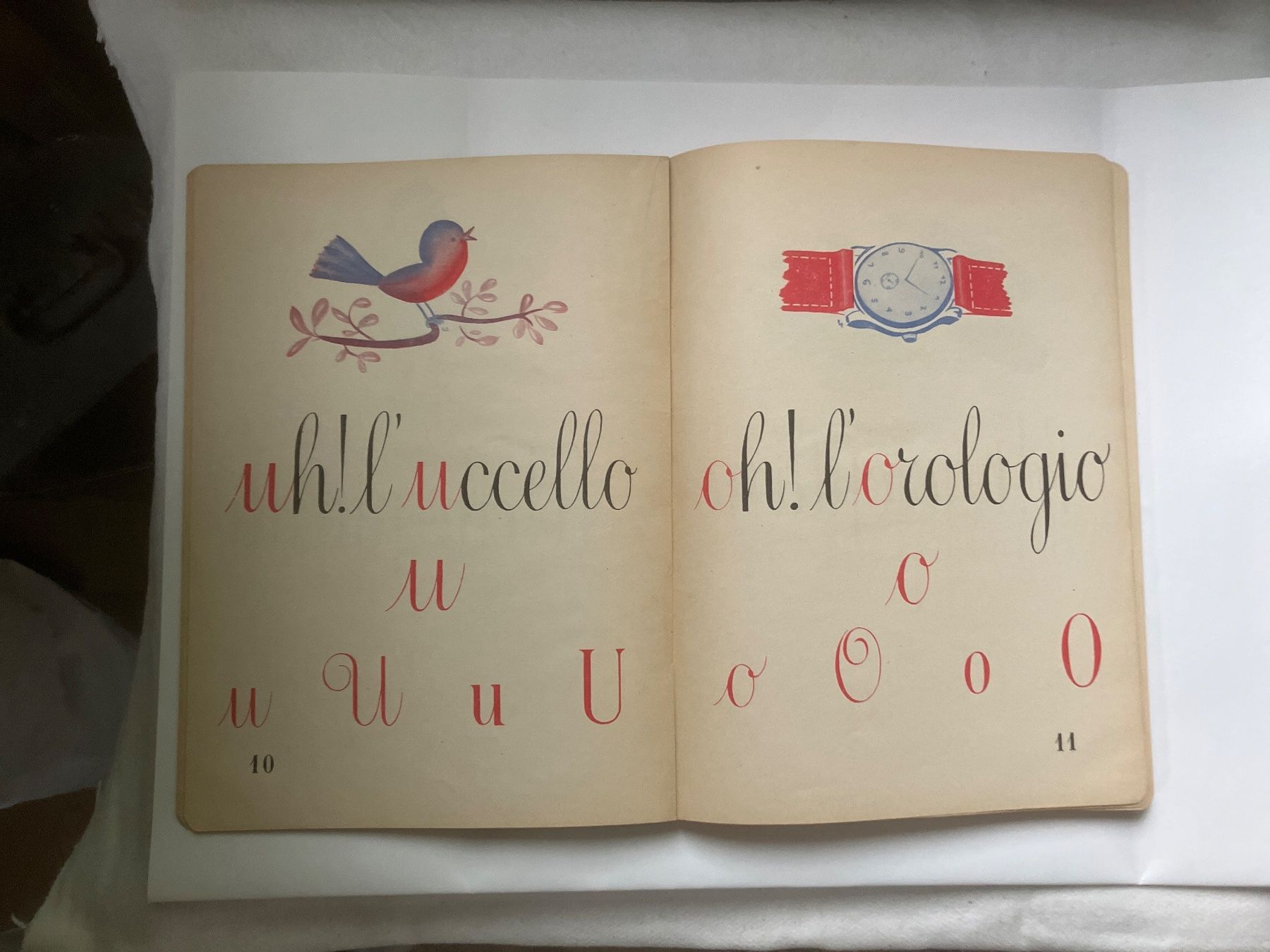Libri: il libro per i bambini – Usato da ZUERICH venduto da Carolus1 5