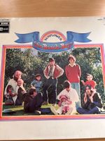 Vinyl LP The Beach Boys Sunflower gebrauchter guter Zustand