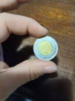 Pièce de 2 dollars canadiens rare, avec ours polaire 1996