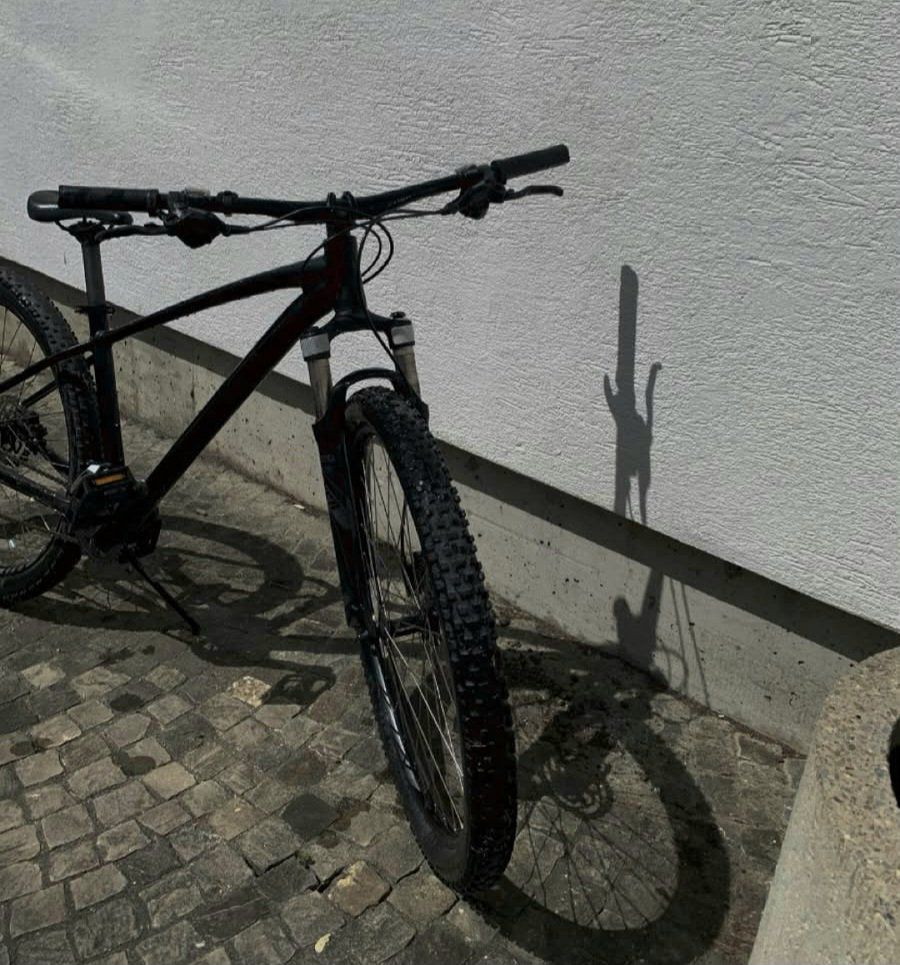 Velos: Bike – Gebraucht aus Arth von Dorisiten 2