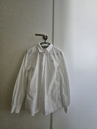 Damen Bluse Tommy Hilfiger Weiss Grösse 38 Regular Fit