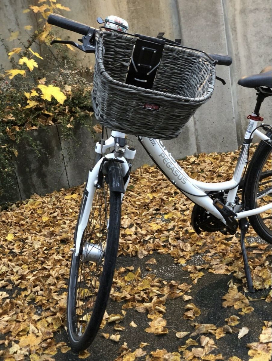 Biciclette: Velo Pegasus – Usato da Meggen venduto da mil_9p8n 1
