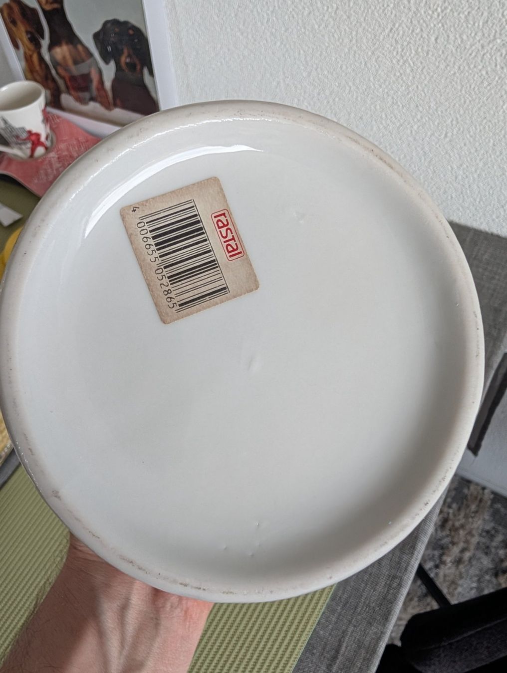 Bicchieri: Bierkrug mit Zinndeckel – Usato da Bern venduto da ari_66yc 4