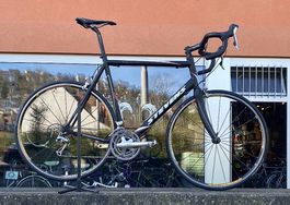 Stevens Aspin Rennrad