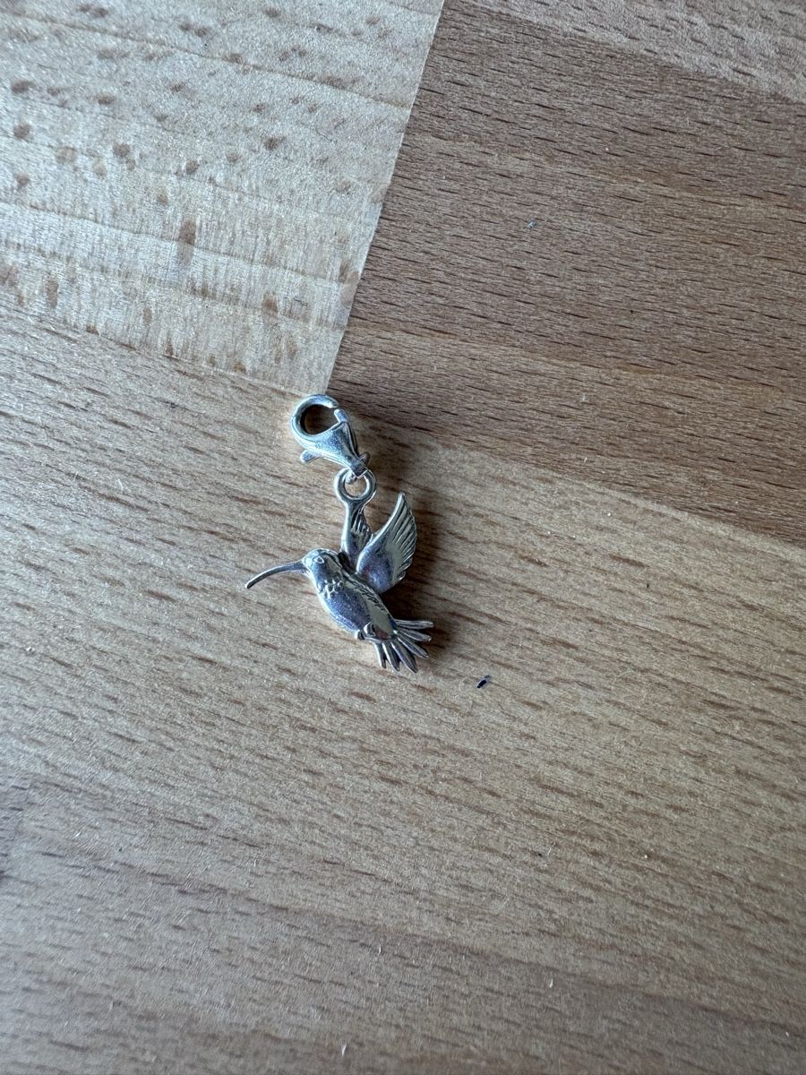 Thomas Sabo Ciondoli: Thomas Sabo Charm, Kolibri – Usato da Wädenswil venduto da HaLu_12