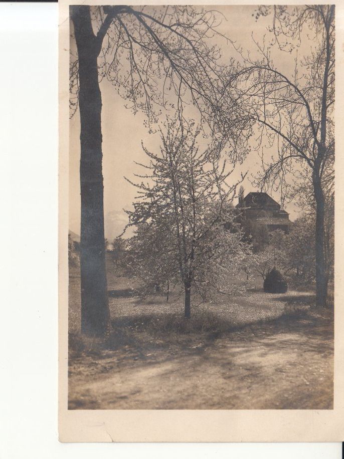 Ansichtskarten: Fotokarte unbekannt 1928 – Gebraucht aus Bürglen TG von StampGraf