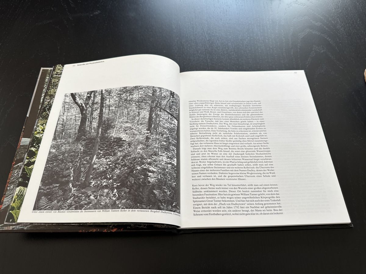 Libri: Wildnis Neuenglands – Usato da Erstfeld venduto da Uhu1980 2