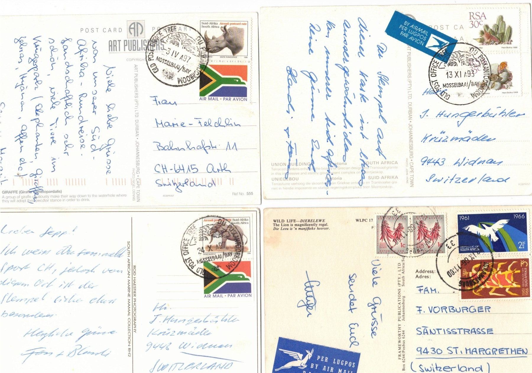 Tutti i francobolli: Südafrika Briefmarken Ansichtskarten Tiere Stempel – Usato da Widnau venduto da Seppl480