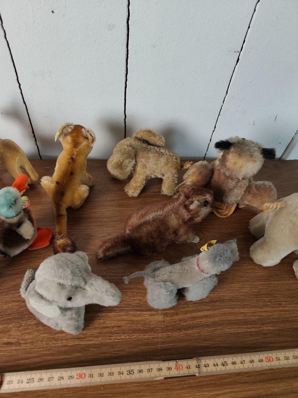 Steiff Giocattoli: Div. Steiff Stofftiere Spielzeug antik – Usato da Goldswil b. Interlaken venduto da troedlermarkt-goldsw 6