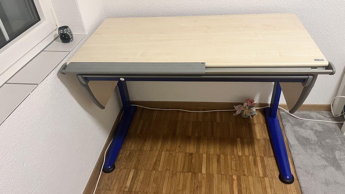 Moll Scrivanie:     Moll-Schreibtisch, gut erhalten – Usato da Hagenbuch ZH venduto da xiaoniu