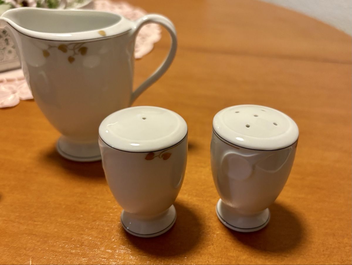 Hutschenreuther Geschirrsets: Chloe Hutschenreuther Geschirr Set – Gebraucht aus Baden von Tiffany6878 5