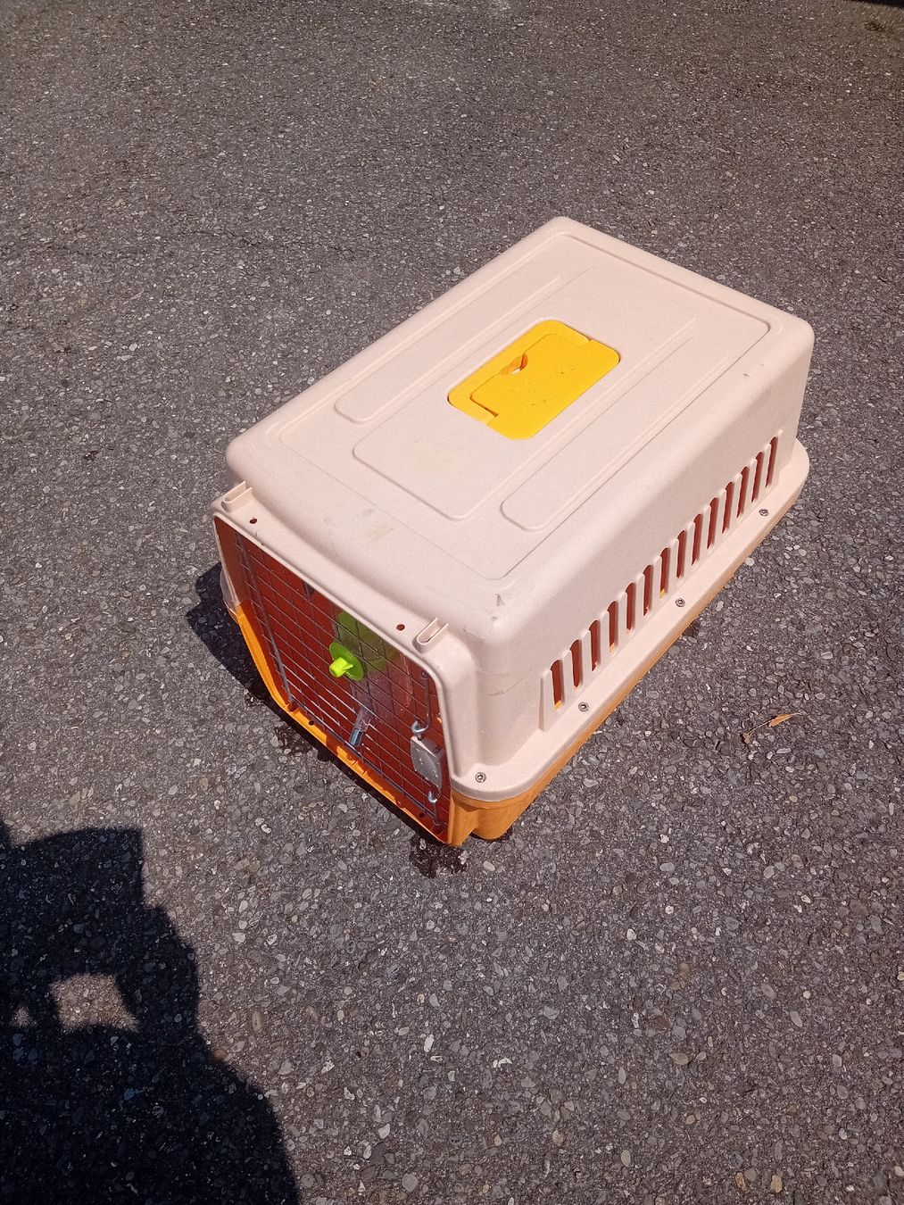 Cucce & Letti: Tier Transport Box – Usato da Emmenbrücke venduto da iseppi34 1
