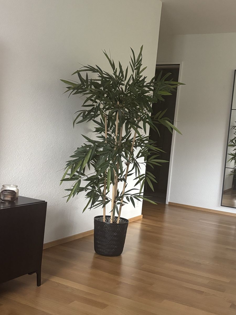 Piante & sementi: Kunstpflanze  – Usato da Liestal venduto da Dincee