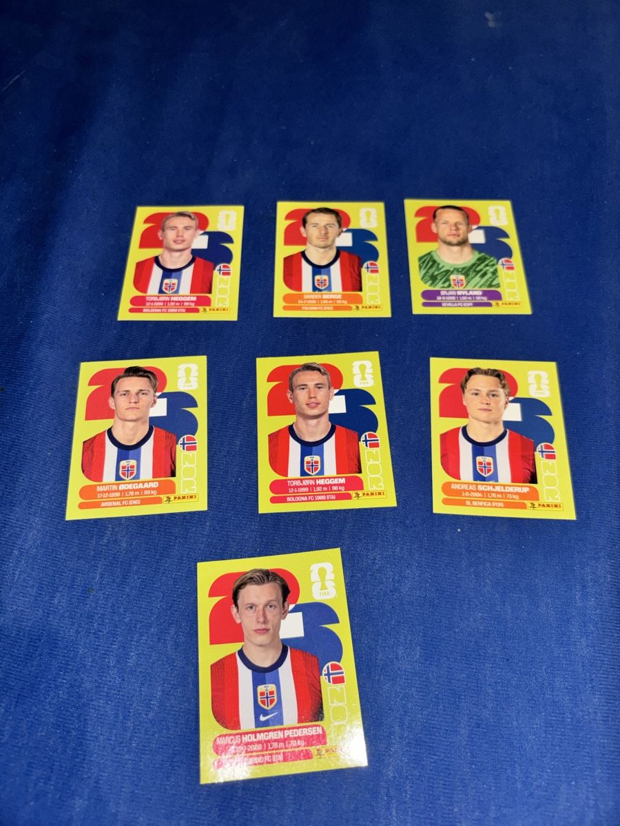 Panini Carte collezionabili: Norwegen 7x paninii – Nuovo (secondo la descrizione) da Olten venduto da Melxnie_46