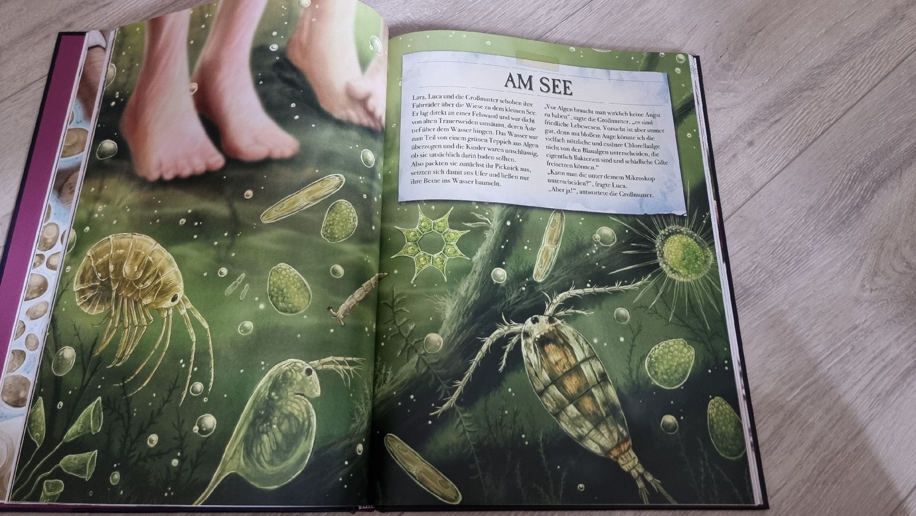 Libri: Verborgene Welten des Mikrokosmus – Nuovo (secondo la descrizione) da Wigoltingen venduto da Zuckerfee84 3