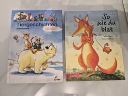 Kinderbuecher "LesePiraten", "So wie du bist" 2 Stueck