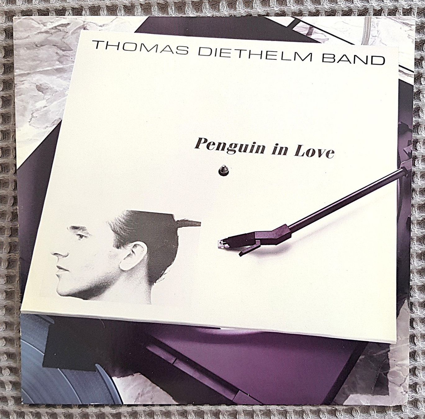 Dischi in vinile: LP Thomas Diethelm Band "Penguin in Love" – Usato da Winterthur venduto da Joschko