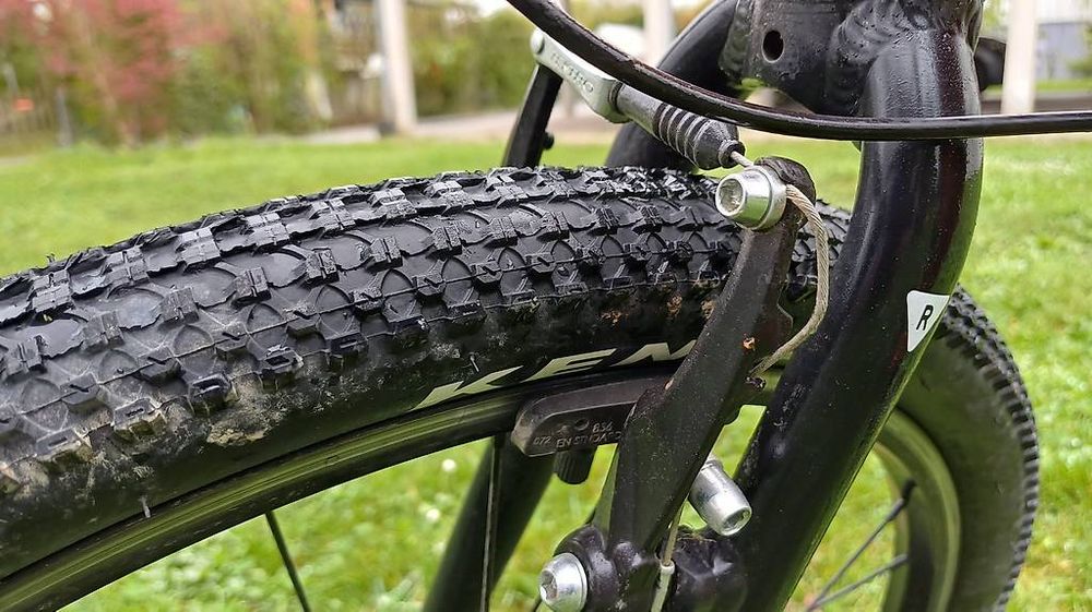 Rascal bike 24