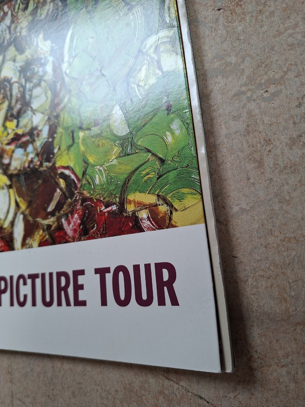 Libri: Elton John - The Big Picture Tour Programm – Usato da Klingnau venduto da vollmond36 5