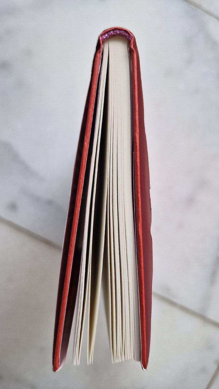 Bücher: Elke Heidenreich - Altern - Roman – Gebraucht aus Basel von Andrealin 2