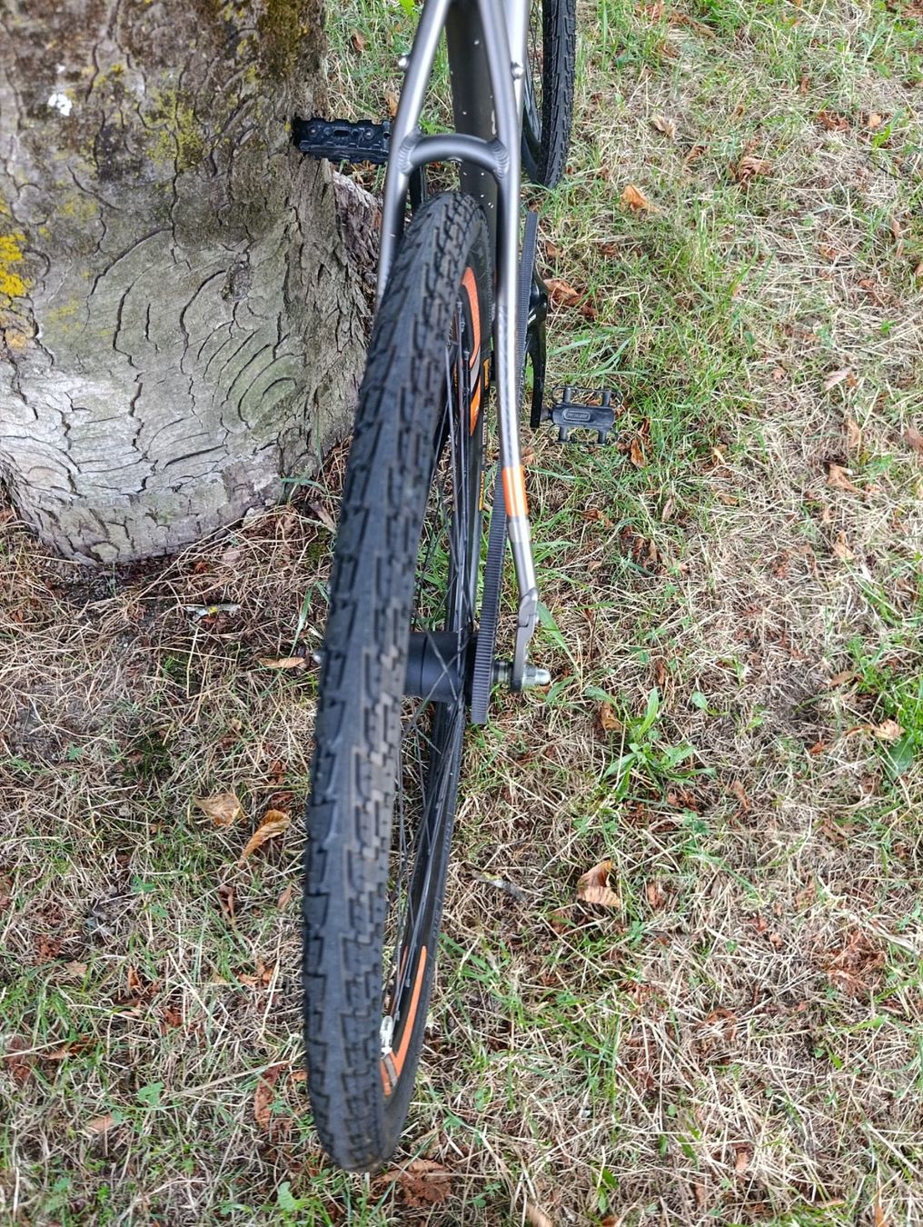 Vélos: Vélo urbain Specialized Source Two – Courroie Gates – D'occasion à Monthey par Sws5 6