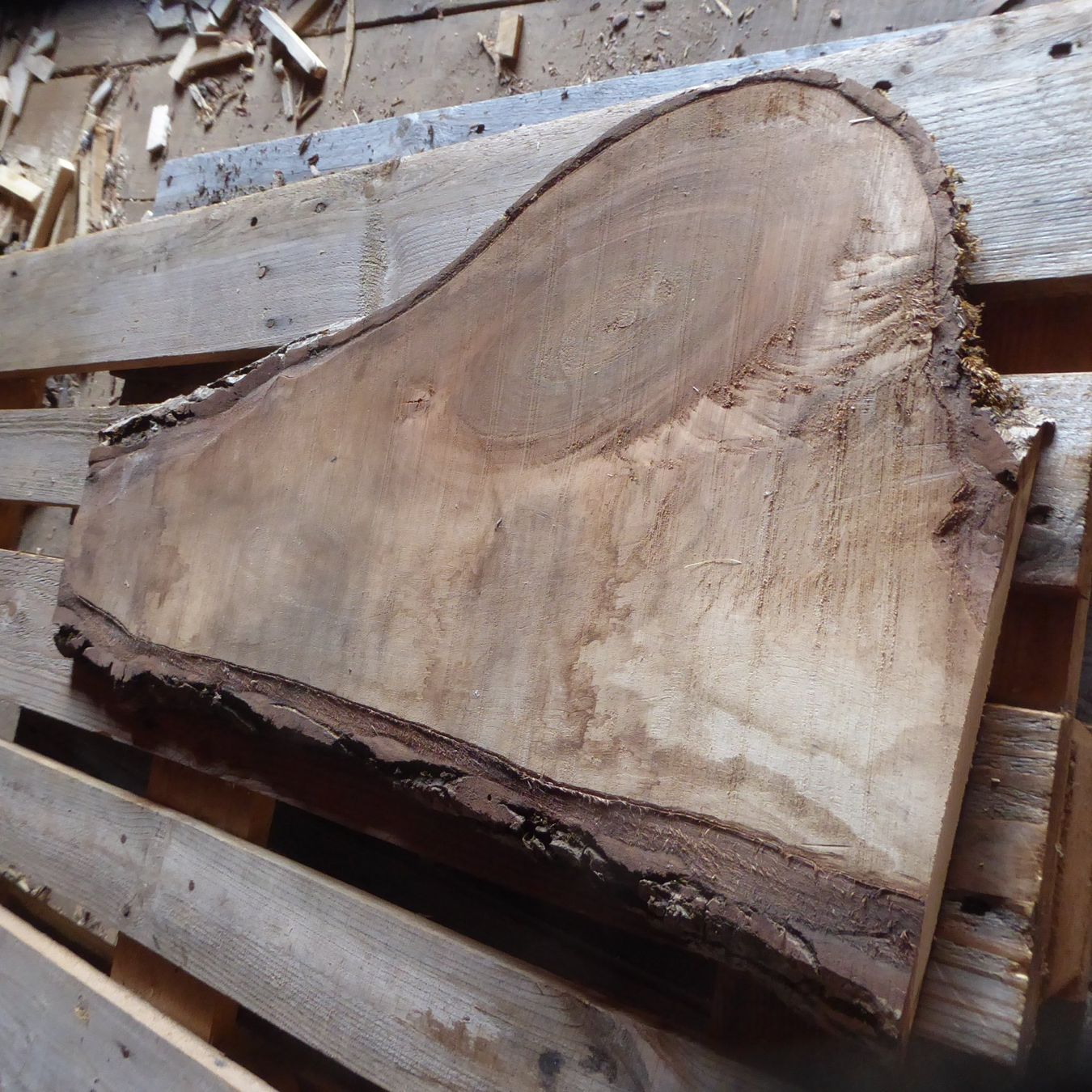 Holzartikel: Nussbaumbrett 24 mm – Neu (gemäss Beschreibung) aus Sumiswald von Hennri1