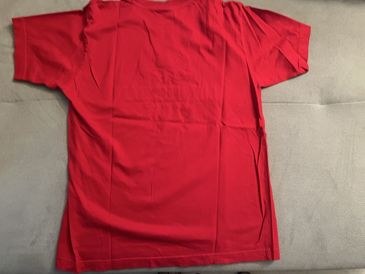 T-shirt: Tshirt Liechtenstein gr. S – Usato da Triesen venduto da bubita 5