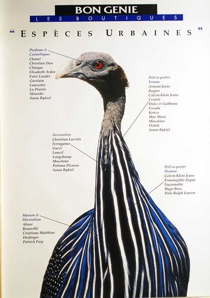 Foto & Immagini: Espèces urbaines (Pfau) – Nuovo (secondo la descrizione) da Bern venduto da Vintage-Art-Poster