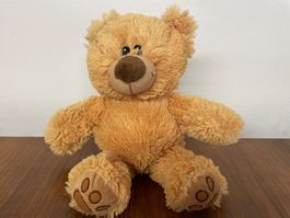 Freundlicher weicher Plüsch Teddy (36 cm)