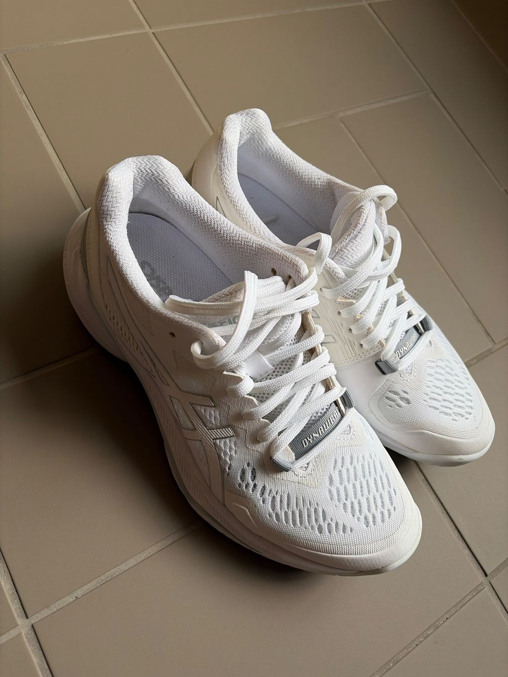 Asics Scarpe da donna: ASICS SKY ELITE FF White & Silver Size 39 – Usato da Schlieren venduto da ric_j7md