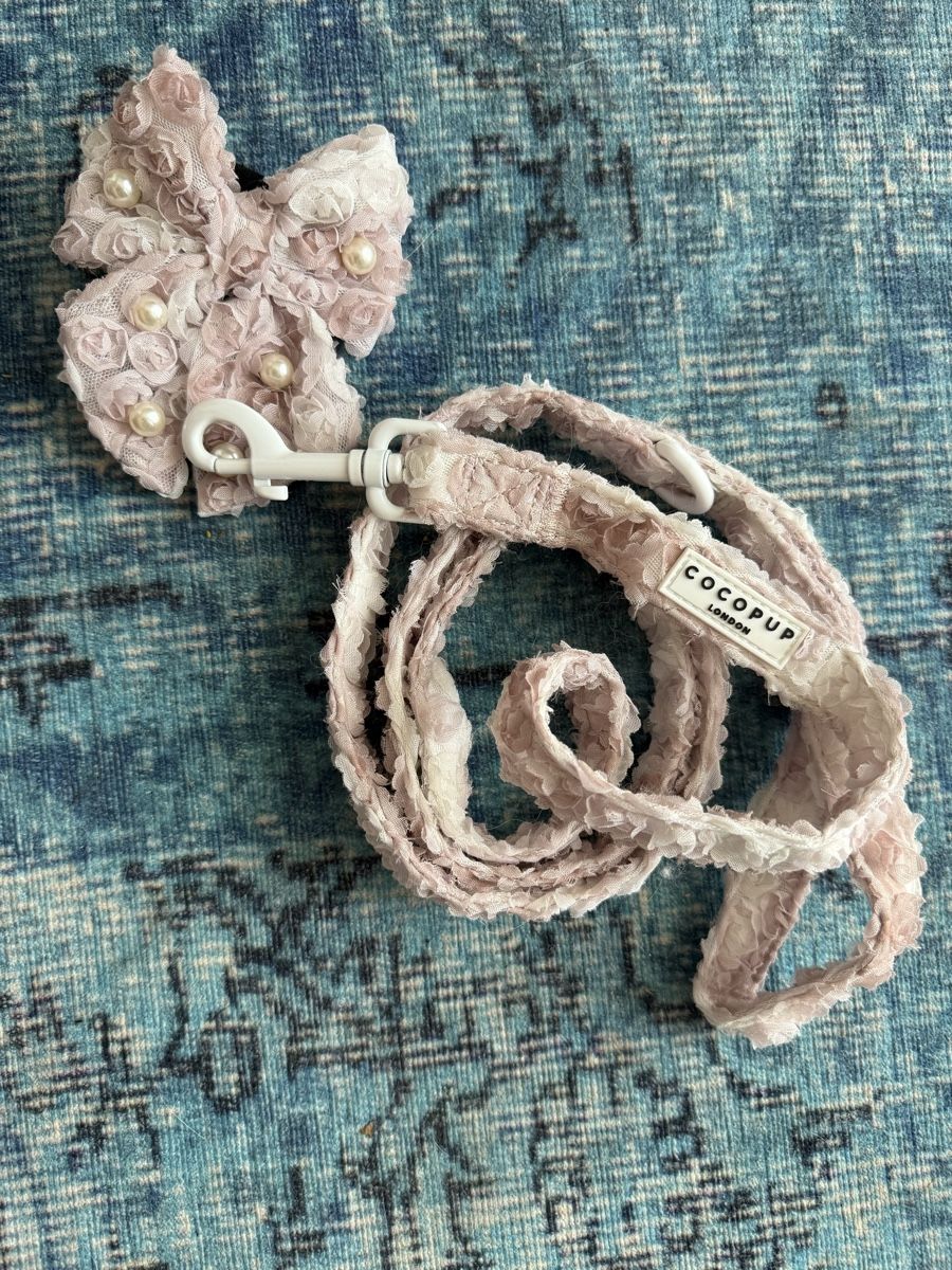 Attrezzatura da arrampicata: CoCoPup London Hunde Set S – Usato da Zürich venduto da wil_2sm9 5