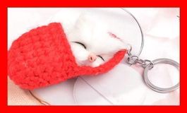 Schlüsselanhänger schlafende Katze ROT Geschenkidee Cat