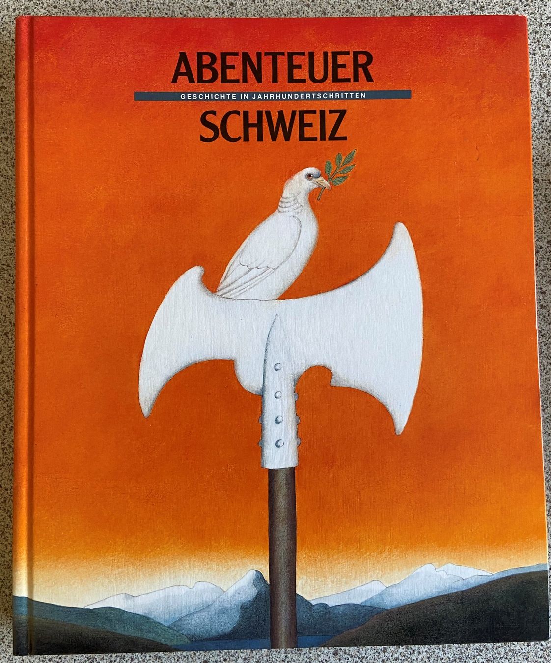 Libri: Buch Paket Schweiz – Usato da Böckten venduto da Hansi36