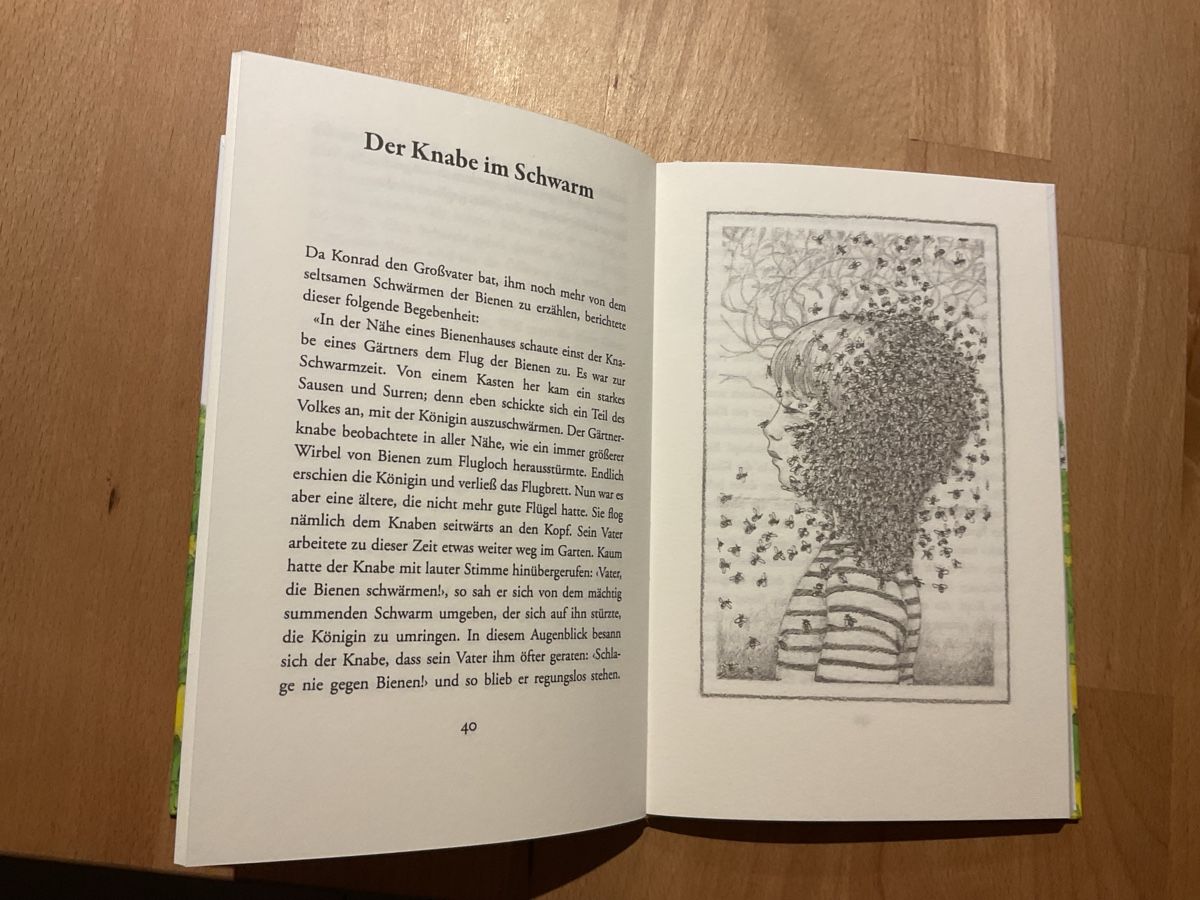 Bücher: Das Bienenbuch Jakob Streit 7+ – Neu (gemäss Beschreibung) aus Wil ZH von RiccardaWegmann 6
