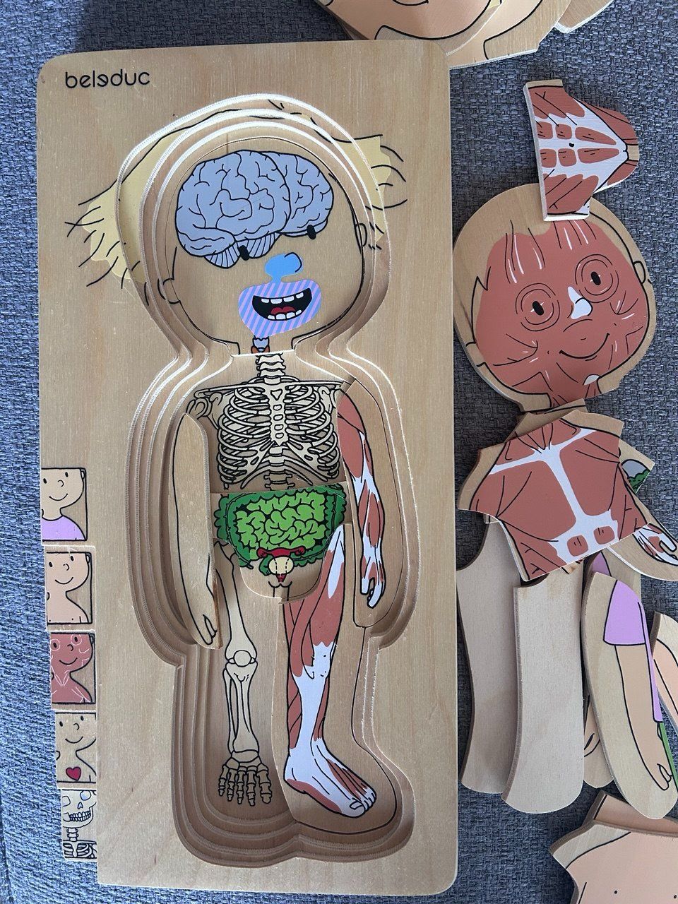 Puzzle: Body Puzzle di Beleduc – Usato da Giubiasco venduto da LorisVale