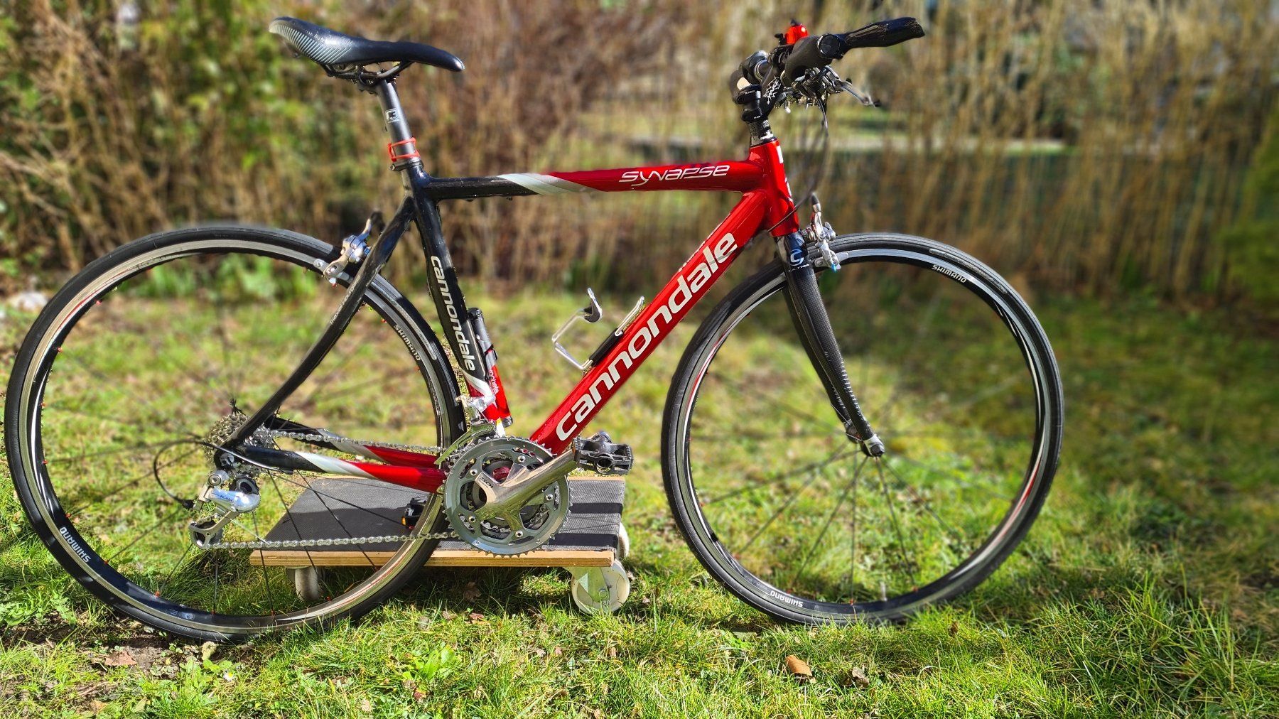 Cannondale Biciclette: Canondale Synopse Carbon 53cm – Usato da Uster venduto da bobnemet
