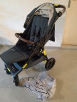 Buggy Mast m4 plus