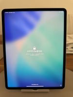 Apple iPad Pro 12.9 Zoll mit 256 GB mit 92% Akku Kapazität