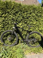 Orbea MX 50 (29-Zoll / Gröẞe L)