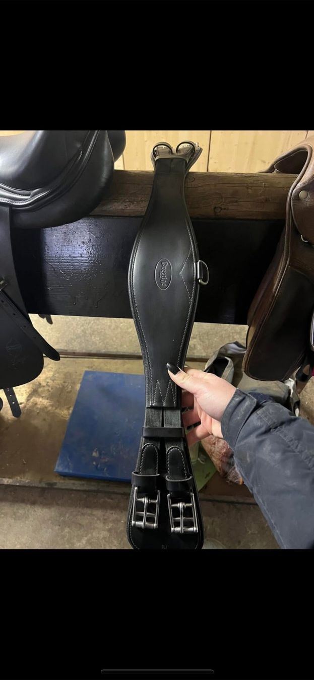 Selle & Accessori: Dressursattel – Usato da Möhlin venduto da sar_xn6j 2