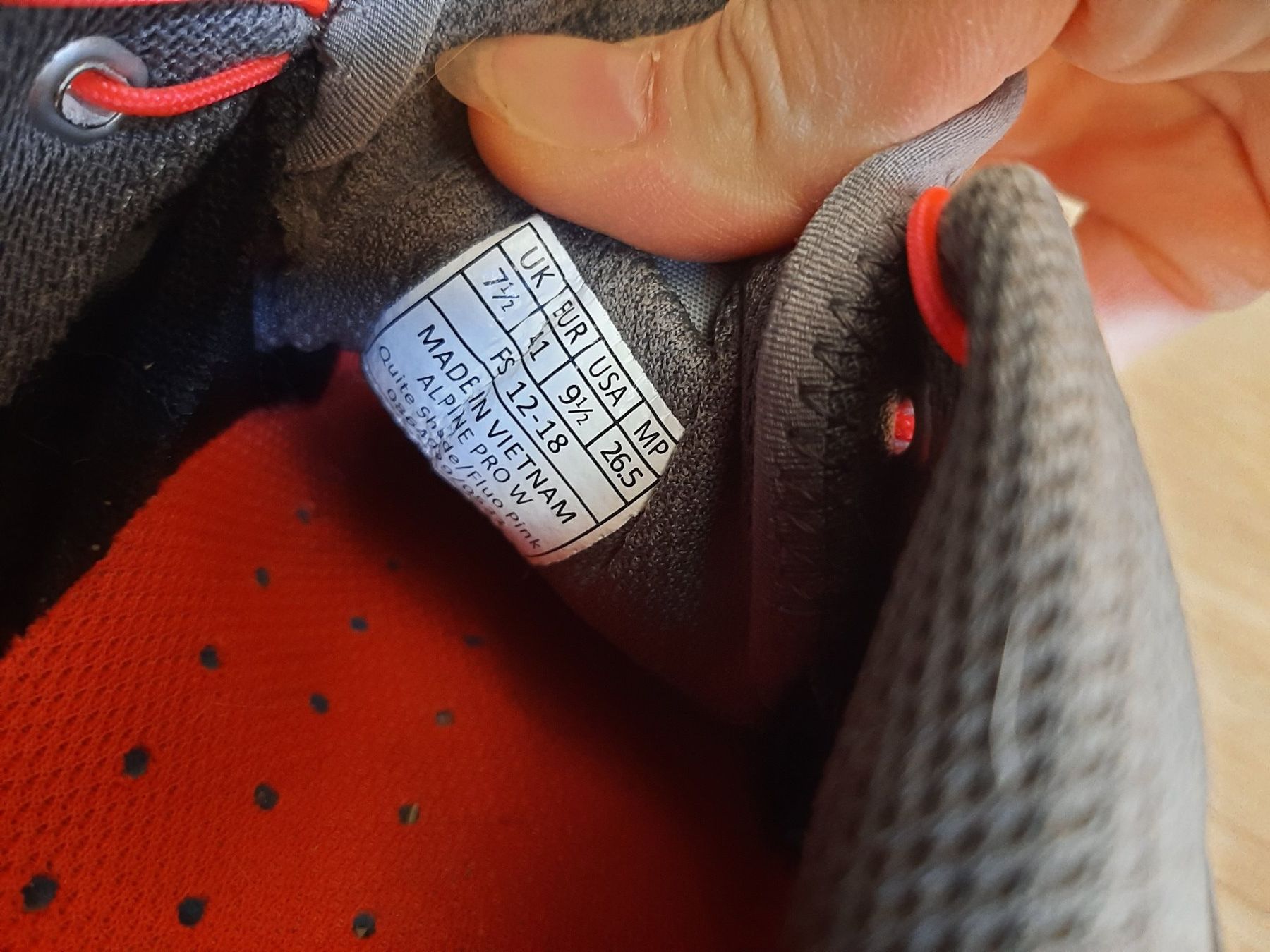 Dynafit Herrenschuhe: DYNAFIT Alpine Pro W 41 – Gebraucht aus Fribourg von metalhands 5