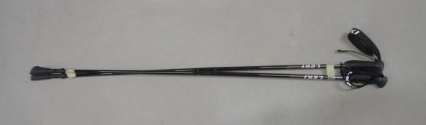 Leki Altri accessori: LEKI Walkingstöcke Carbon  115 cm / 46" – Usato da Egliswil venduto da jimygbs