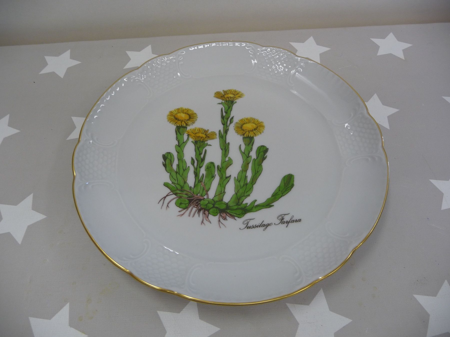 Assiettes: 1 Langenthal Teller Tussilago Farfara – D'occasion à Rafz par Powacaddy