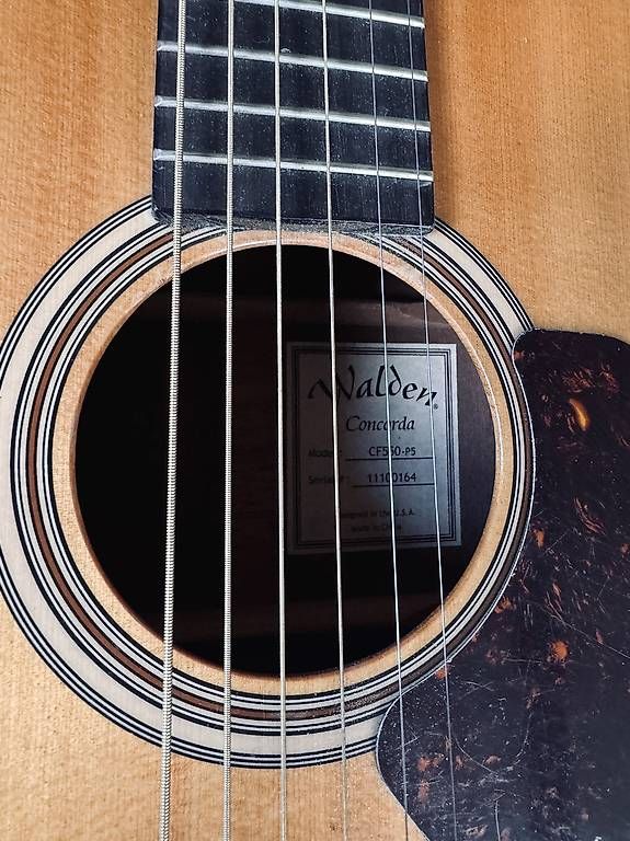 Strumenti musicali: Gitarre Walden Concordia – Usato da Berg SG venduto da Berglerfabi 1