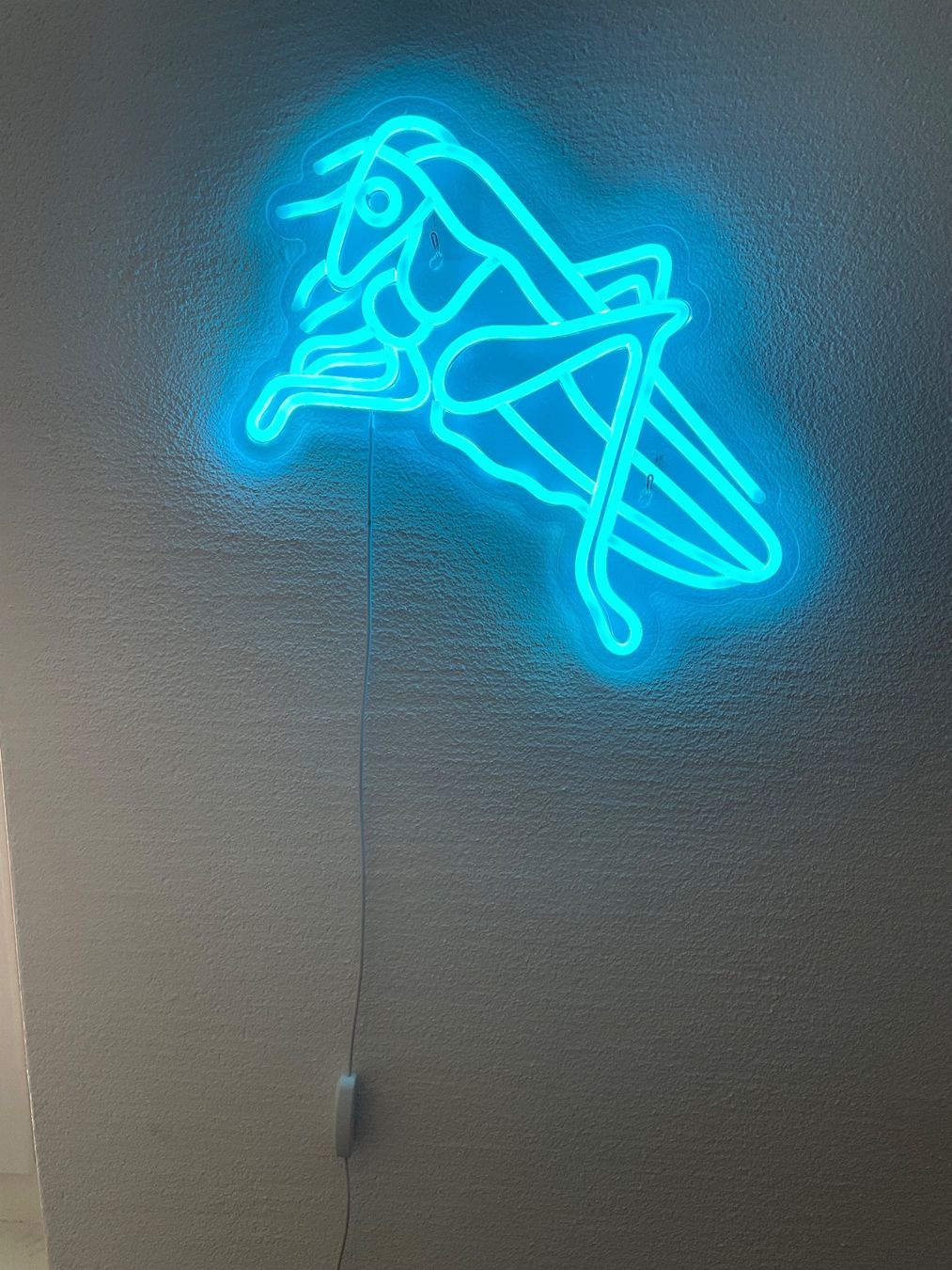 Foto & Immagini: GCZ Neon LED Heugümper – Nuovo e nell'imballaggio originale da Stäfa venduto da hokoatu 1